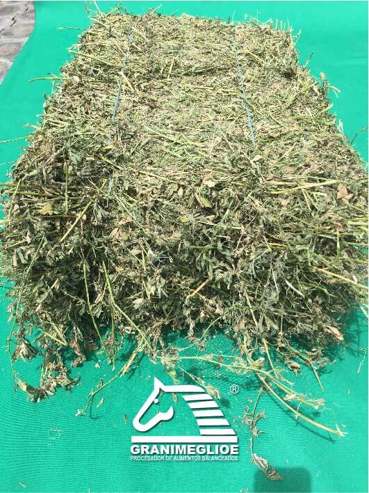 Paca Mixta De Alfalfa y Raygras Granimeglioe